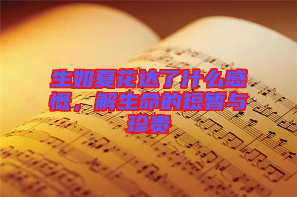 生如夏花達了什么感慨，解生命的短暫與珍貴