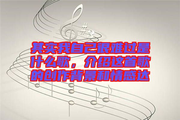 其實我自己很難過是什么歌，介紹這首歌的創作背景和情感達