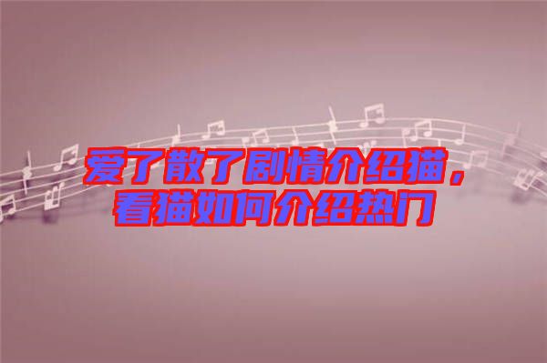 愛了散了劇情介紹貓，看貓如何介紹熱門