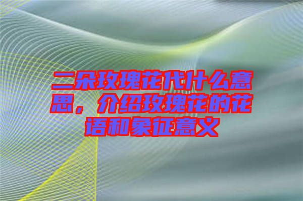 二朵玫瑰花代什么意思，介紹玫瑰花的花語和象征意義