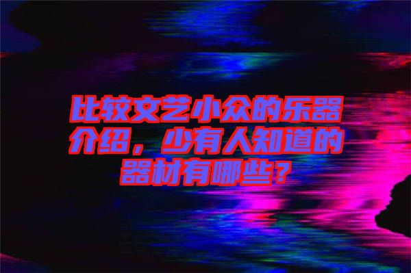 比較文藝小眾的樂器介紹，少有人知道的器材有哪些？