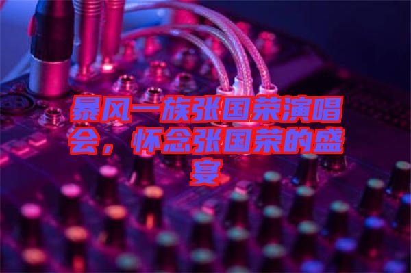 暴風一族張國榮演唱會，懷念張國榮的盛宴
