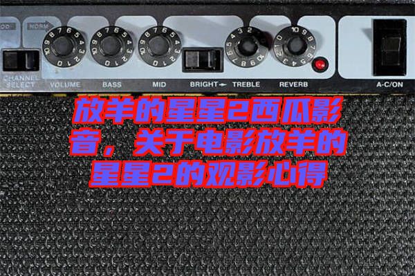 放羊的星星2西瓜影音，關于電影放羊的星星2的觀影心得