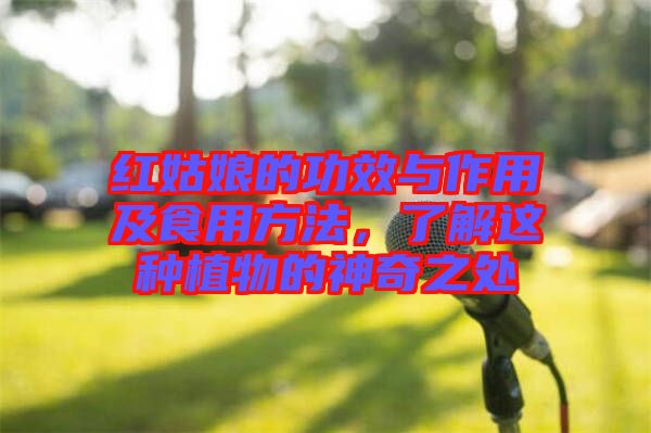 紅姑娘的功效與作用及食用方法，了解這種植物的神奇之處