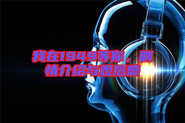 我在1949等你，劇情介紹與觀后感