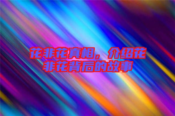 花非花真相，介紹花非花背后的故事