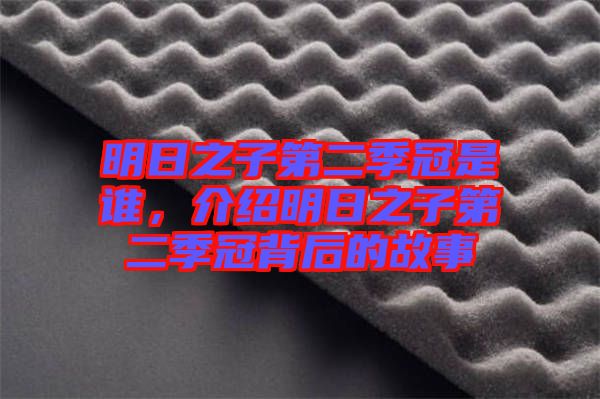 明日之子第二季冠是誰，介紹明日之子第二季冠背后的故事