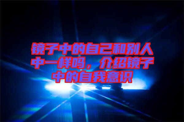 鏡子中的自己和別人中一樣嗎，介紹鏡子中的自我意識