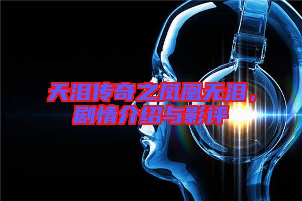 天淚傳奇之鳳凰無淚，劇情介紹與影評