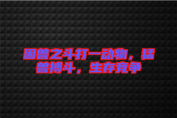 困獸之斗打一動物，猛獸搏斗，生存競爭