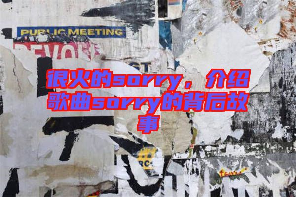 很火的sorry，介紹歌曲sorry的背后故事