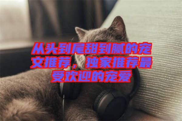 從頭到尾甜到膩的寵文推薦，獨家推薦最受歡迎的寵愛