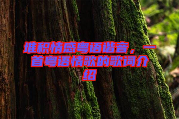 堆積情感粵語(yǔ)諧音，一首粵語(yǔ)情歌的歌詞介紹