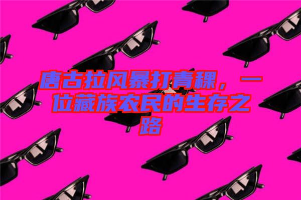 唐古拉風暴打青稞，一位藏族農民的生存之路