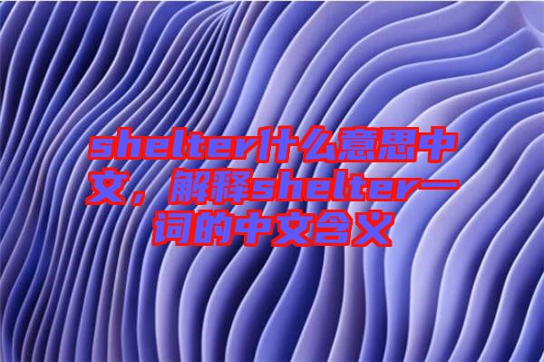 shelter什么意思中文，解釋shelter一詞的中文含義