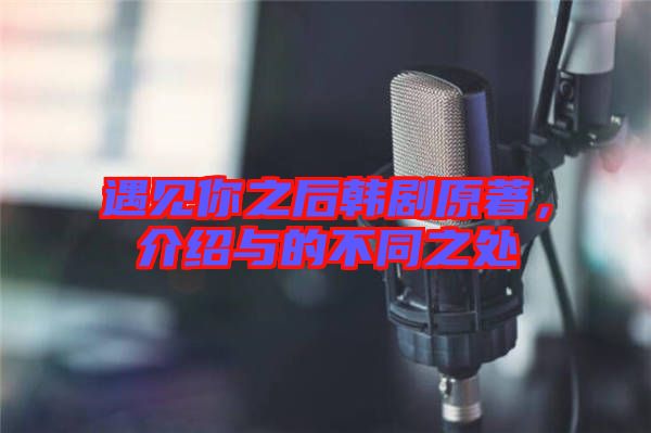 遇見你之后韓劇原著，介紹與的不同之處