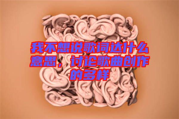 我不想說歌詞達什么意思，討論歌曲創(chuàng)作的多樣