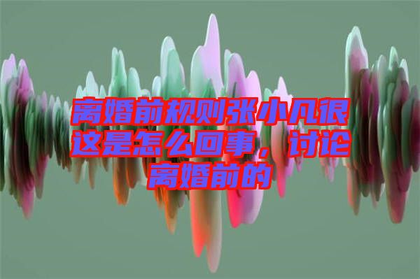 離婚前規則張小凡很這是怎么回事，討論離婚前的