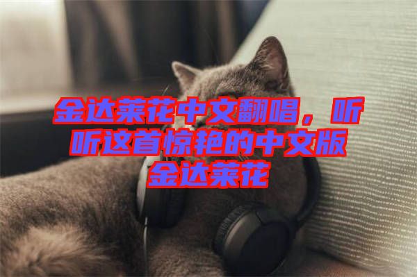 金達(dá)萊花中文翻唱，聽(tīng)聽(tīng)這首驚艷的中文版金達(dá)萊花