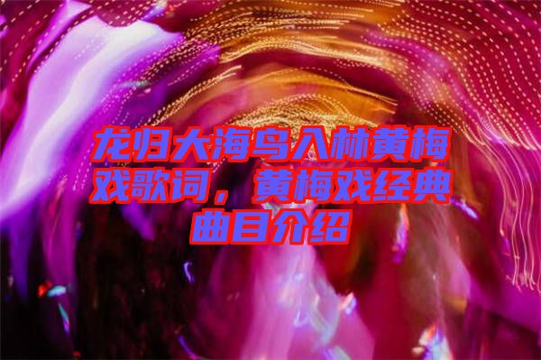 龍歸大海鳥入林黃梅戲歌詞，黃梅戲經典曲目介紹