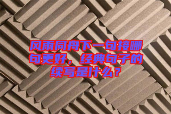 風雨同舟下一句接哪句更好，經典句子的續寫是什么？