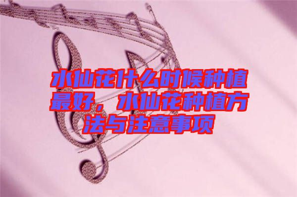 水仙花什么時候種植最好，水仙花種植方法與注意事項