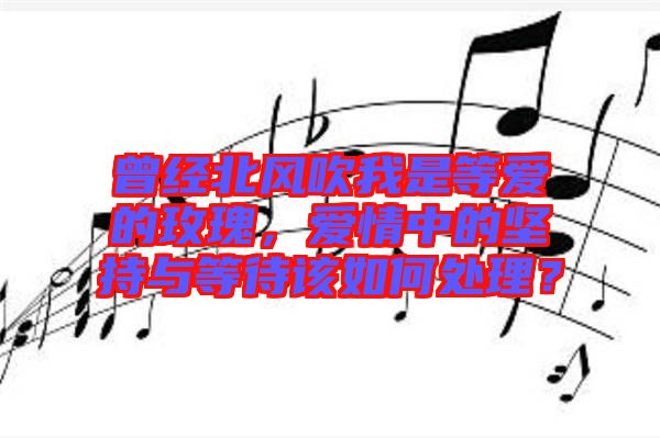曾經(jīng)北風吹我是等愛的玫瑰，愛情中的堅持與等待該如何處理？