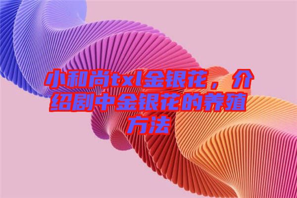 小和尚txl金銀花，介紹劇中金銀花的養殖方法