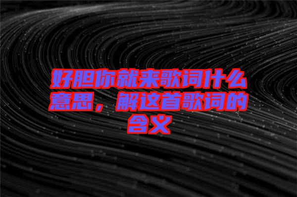 好膽你就來歌詞什么意思，解這首歌詞的含義