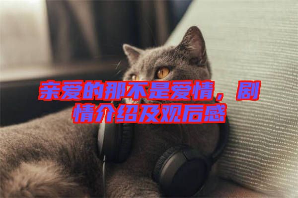 親愛的那不是愛情，劇情介紹及觀后感