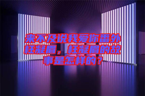 來不及說我愛你番外枉凝眉，枉凝眉的故事是怎樣的？