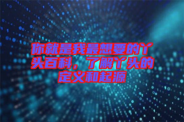 你就是我最想要的丫頭百科，了解丫頭的定義和起源