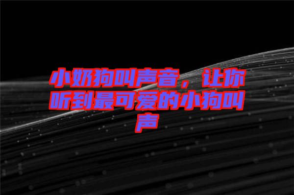 小奶狗叫聲音，讓你聽到最可愛的小狗叫聲
