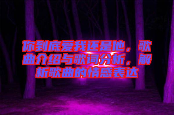 你到底愛我還是他，歌曲介紹與歌詞分析，解析歌曲的情感表達(dá)