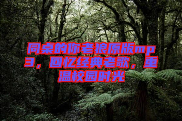 同桌的你老狼原版mp3，回憶經(jīng)典老歌，重溫校園時(shí)光