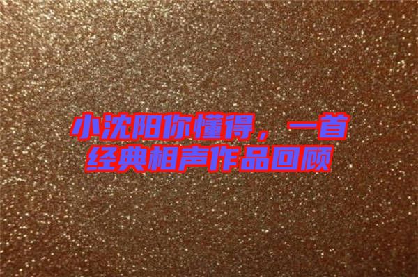 小沈陽你懂得，一首經典相聲作品回顧
