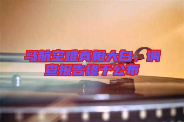 馬航空難真相大白，調查報告終于公布