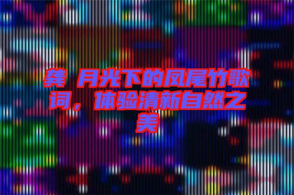 龔玥月光下的鳳尾竹歌詞，體驗清新自然之美
