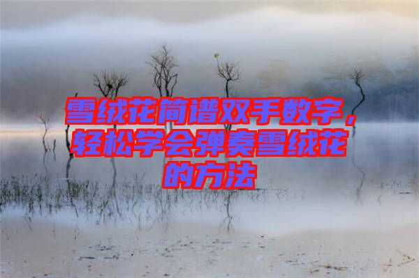 雪絨花簡譜雙手數字，輕松學會彈奏雪絨花的方法