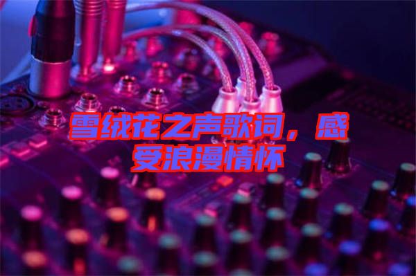 雪絨花之聲歌詞，感受浪漫情懷